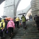 tor (43)